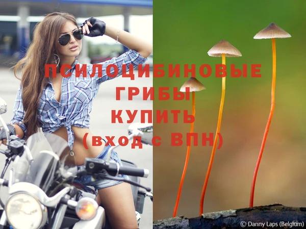 каннабис Кукмор